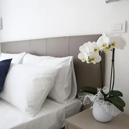 Arena Hotel 3*